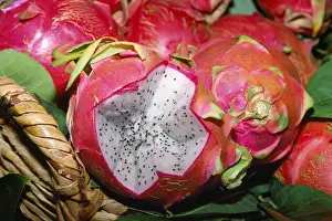 Fruits Prints: Dragon Fruit