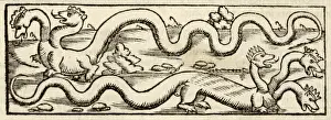 Reported Prints: Dragon (Munster)