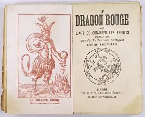 Rouge Prints: Dragon Rouge