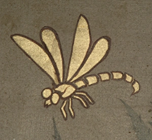 Odonata Collection: Dragonfly from decorative ceiling panels