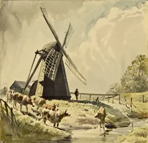 Draining Prints: Draining Mill, Herringfleet with cattle