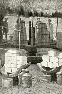 Images Dated 23rd August 2018: Draining off camphor oil, Formosa (Taiwan)