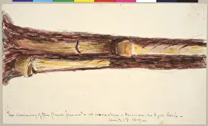 The Draining of the Pine Juice at Arcachon, France so as to