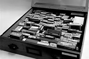 Sloane Prints: Drawer of botanical specimens