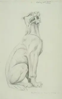 Felid Prints: Lion