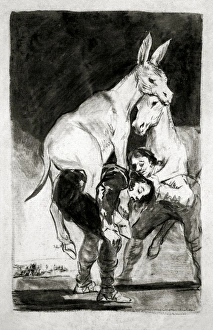 drawing for plate 42 of Los Caprichos, red wash and sanguine drawing for plate 42 of Los Caprichos, red wash and sanguine