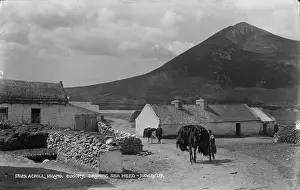 Achill Prints: Drawing Seaweed in Dugort