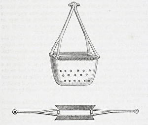 Bivalve Collection: On the dredge