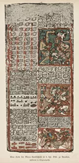 Mexico Collection: Dresden Codex