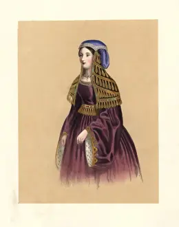 Dress of the reign of King Henry VII, 1485-1509