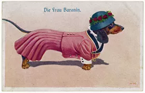 Dressed Collection: Well Dressed Dachshund