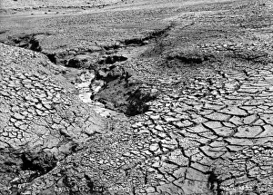 Cracked Prints: Dried Beds, Lough-A-Veema
