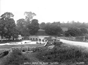 Cork Gallery: Dripsey Bridge on R. Lee, Co. Cork