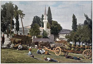 Images Dated 6th April 2021: The drivers of these Turkish ox-carts have stopped to give their animals a rest