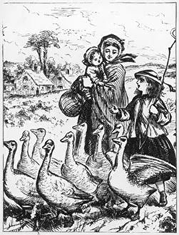 Driving Geese to Fair