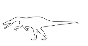 Dromaeosaurus