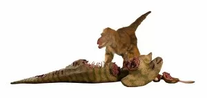 Animatronic Gallery: Dromaeosaurus, Fuzzy Raptor