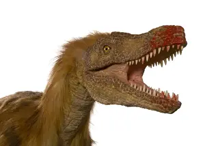 Dromaeosaurus, Fuzzy Raptor