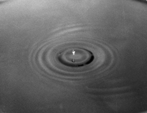 Images Dated 8th April 2011: A Drop in the Ocean