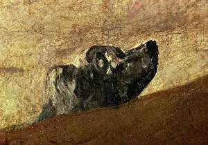 The drowning Dog, 1820-1823, by Francisco de Goya