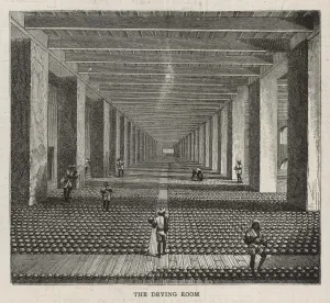 Opium Prints: Drugs / Opium Factory - 4