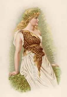 DRUIDESS