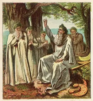 DRUIDS
