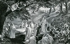 Images Dated 8th February 2011: Druids cut mistletoe