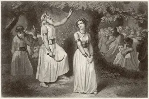 Doorways Prints: Druids gathering the sacred mistletoe