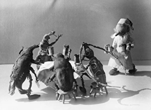 Drunk Insects Drunk Insects
