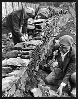 1959 Collection: Dry Stone Walling