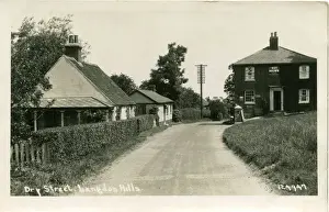 Hedge Prints: Dry Street, Langdon Hills, Basildon, Essex