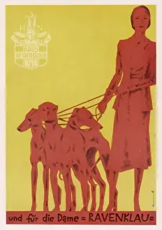 Dryden / Ravenklau / Advert