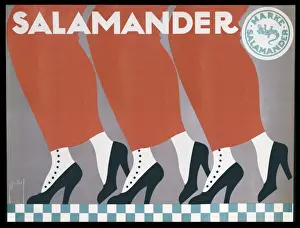 Hobble Prints: Dryden / Salamander / 107