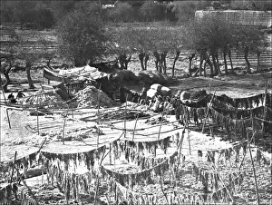 Hung Prints: Drying cloth in Kashgar, western China