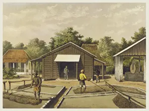 Sumatra Prints: Drying Coffee Beans