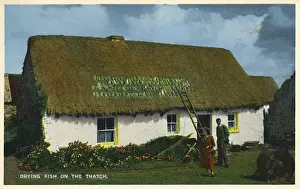 Dried Prints: Drying fish on the thatch roof, Southern Ireland