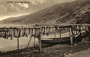 Drying Fish on wooden racks - Nordland, Northern Norway