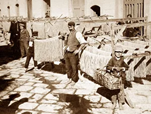 Naples Collection: Drying macaroni, Naples, Italy