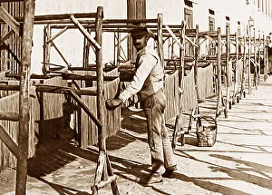 Pozzuoli Prints: Drying Maccaroni, Pozzuoli, Italy
