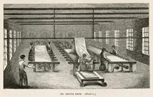 Bleaching Prints: Drying Muslins