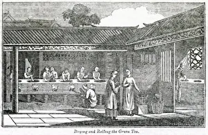 Beverage Prints: Drying and rolling the green tea, China
