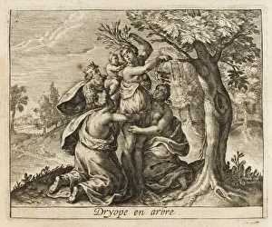 Gathering Prints: Dryope into Tree