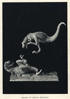 Dryptosaurus aquilunguis fighting