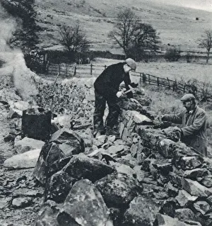 Drystone Walls of the North