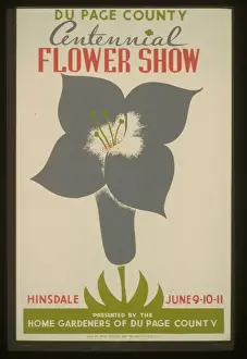 Centennial Prints: Du Page County centennial flower show