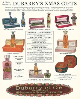 Potential Prints: Dubarry Advertisement