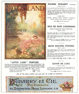 Dubarry et Cie Advertisement