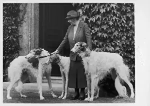 Duchess Newcastle Dog 2