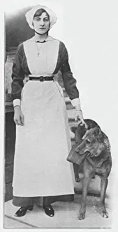The Duchess of Westminster, WW1